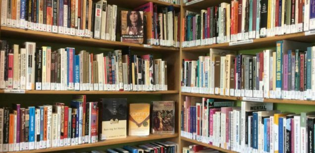 library books on shelves