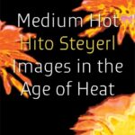 Book cover of Medium Hot: Images in the Age of Heat by Hito Steyeri with pictures of yellow flowers