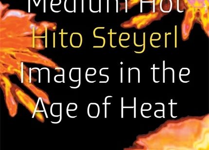 Book cover of Medium Hot: Images in the Age of Heat by Hito Steyeri with pictures of yellow flowers